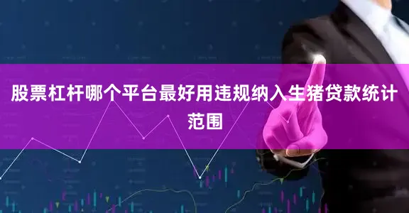 股票杠杆哪个平台最好用违规纳入生猪贷款统计范围