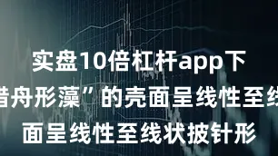 实盘10倍杠杆app下载“从前措舟形藻”的壳面呈线性至线状披针形
