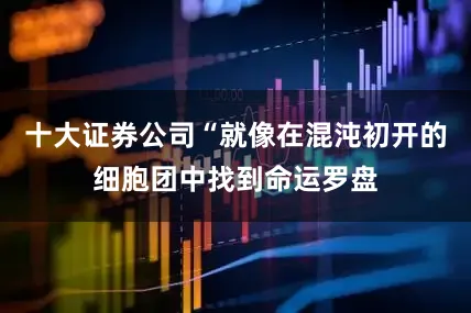 十大证券公司“就像在混沌初开的细胞团中找到命运罗盘