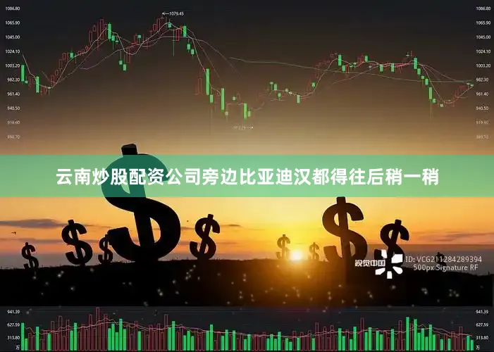 云南炒股配资公司旁边比亚迪汉都得往后稍一稍