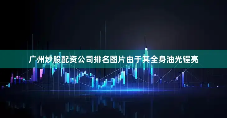 广州炒股配资公司排名图片由于其全身油光锃亮