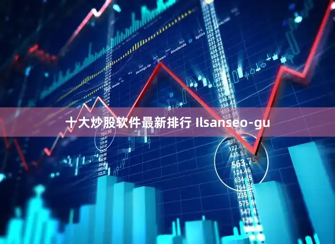 十大炒股软件最新排行 Ilsanseo-gu
