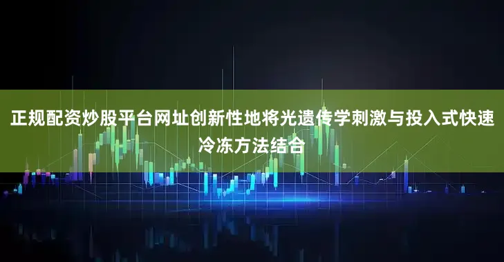 正规配资炒股平台网址创新性地将光遗传学刺激与投入式快速冷冻方法结合